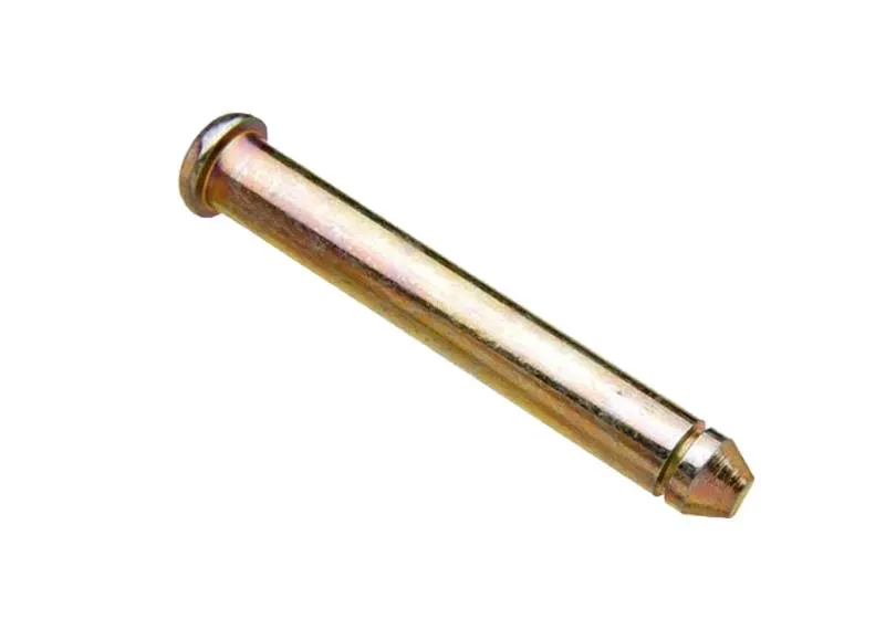 Door Check Pins