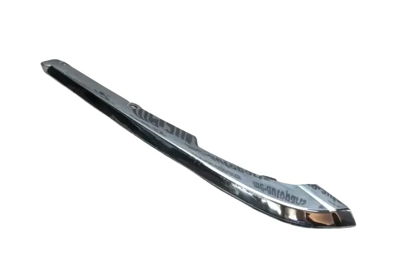 RIGHT PASSENGER DOOR TRIM MOLDING MOULDING